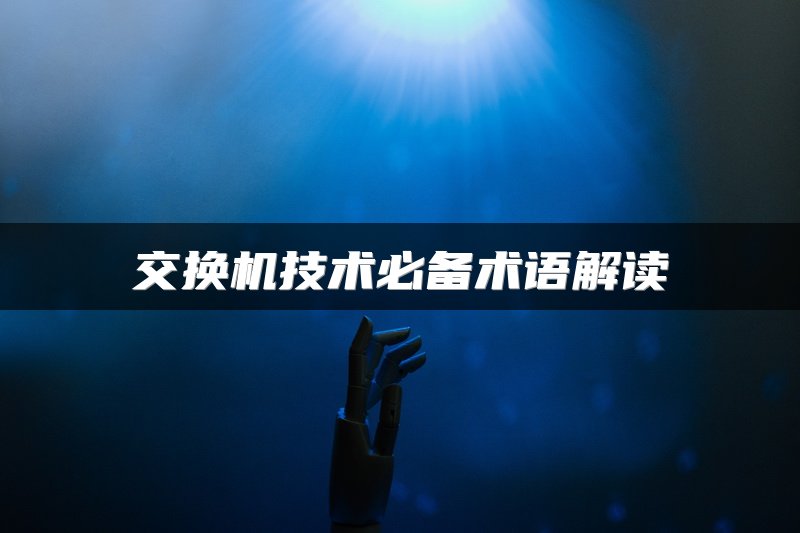 交换机技术必备术语解读