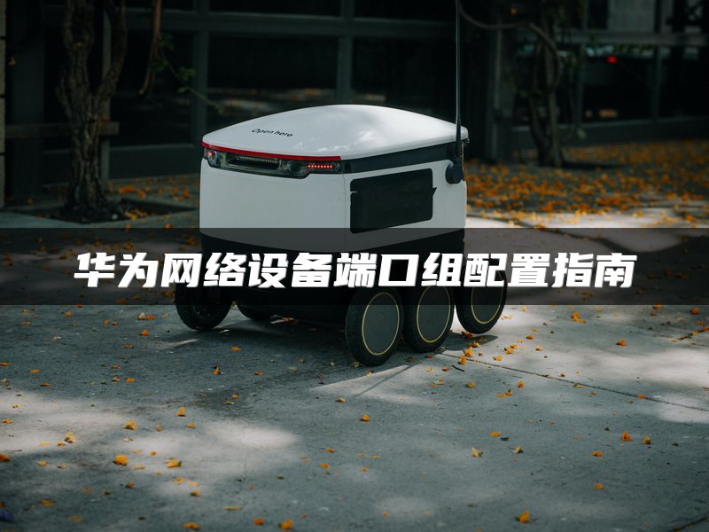 华为网络设备端口组配置指南