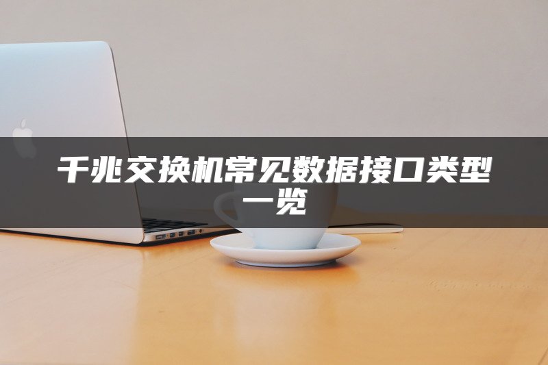 千兆交换机常见数据接口类型一览