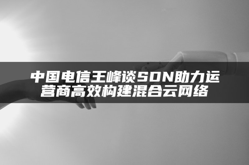 中国电信王峰谈SDN助力运营商高效构建混合云网络