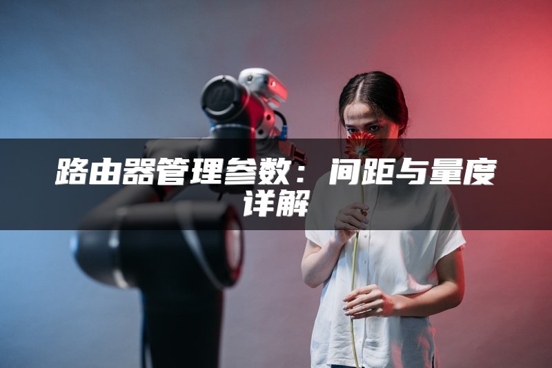 路由器管理参数：间距与量度详解