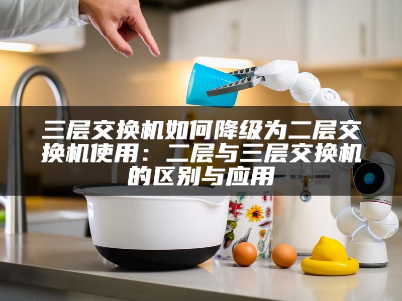 三层交换机如何降级为二层交换机使用：二层与三层交换机的区别与应用