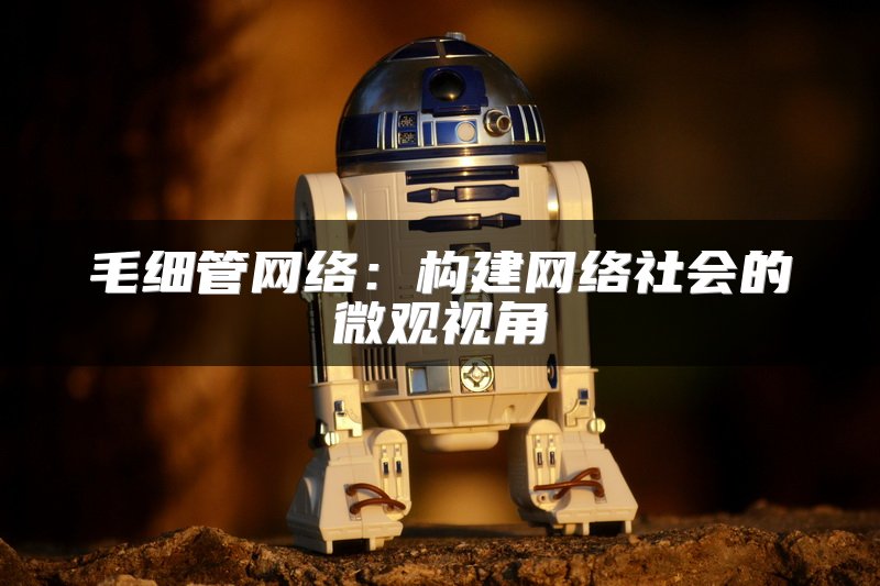 毛细管网络：构建网络社会的微观视角