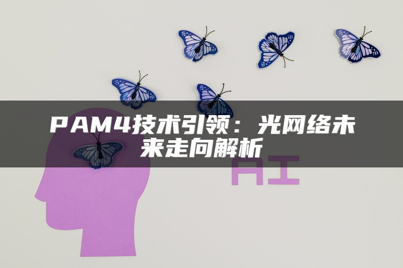 PAM4技术引领：光网络未来走向解析