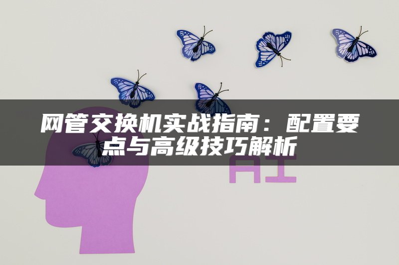 网管交换机实战指南：配置要点与高级技巧解析