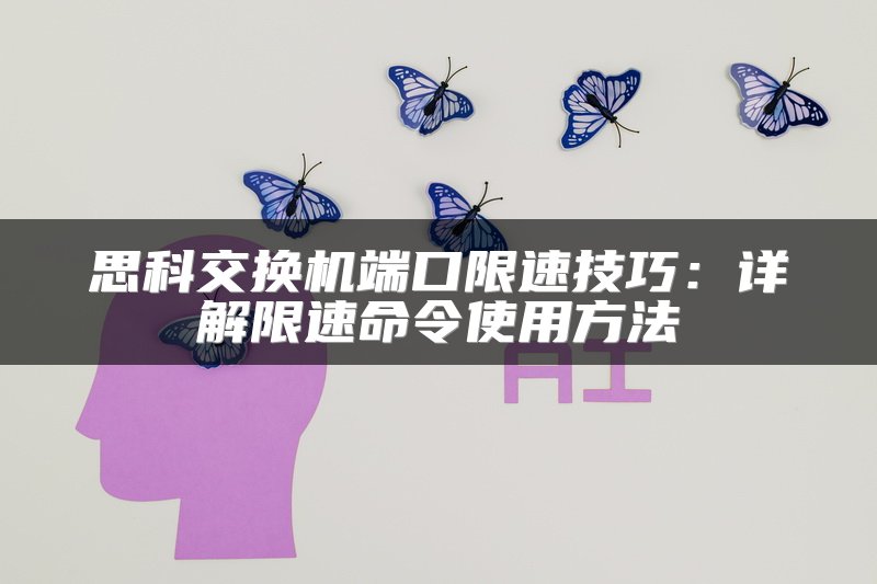 思科交换机端口限速技巧：详解限速命令使用方法
