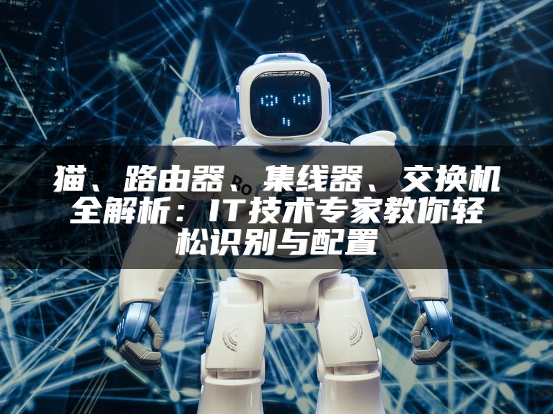 猫、路由器、集线器、交换机全解析：IT技术专家教你轻松识别与配置