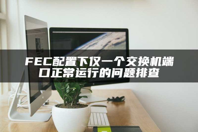 FEC配置下仅一个交换机端口正常运行的问题排查