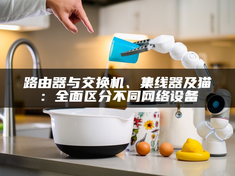 路由器与交换机、集线器及猫：全面区分不同网络设备