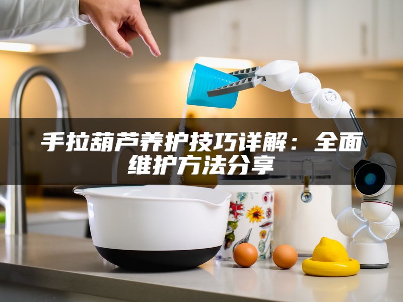 手拉葫芦养护技巧详解：全面维护方法分享