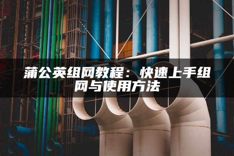 蒲公英组网教程：快速上手组网与使用方法