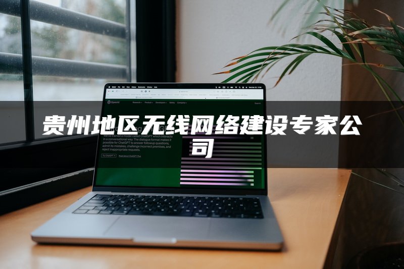 贵州地区无线网络建设专家公司