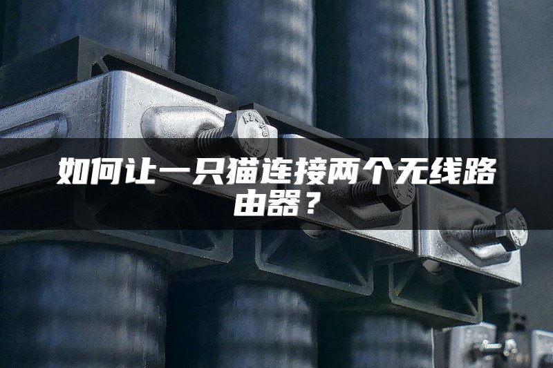如何让一只猫连接两个无线路由器？