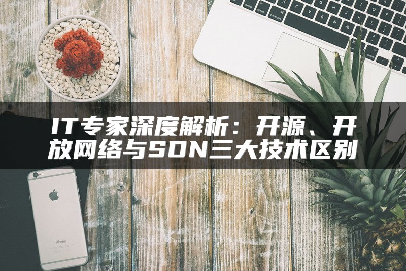 IT专家深度解析：开源、开放网络与SDN三大技术区别