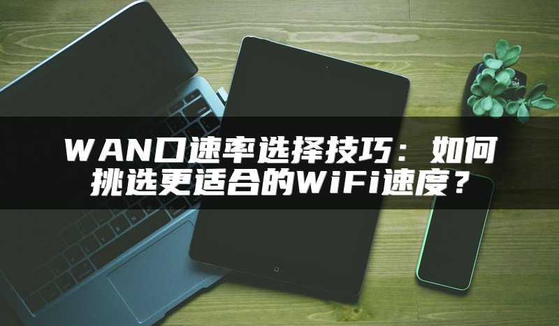 WAN口速率选择技巧：如何挑选更适合的WiFi速度？