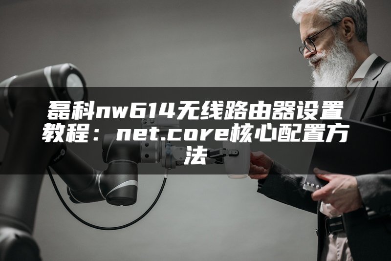 磊科nw614无线路由器设置教程：net.core核心配置方法