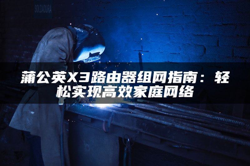 蒲公英X3路由器组网指南：轻松实现高效家庭网络