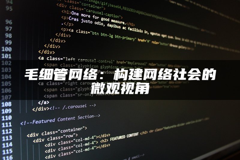 毛细管网络:构建网络社会的微观视角