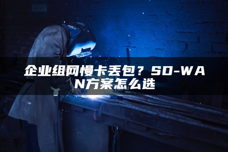 企业组网慢卡丢包？SD-WAN方案怎么选