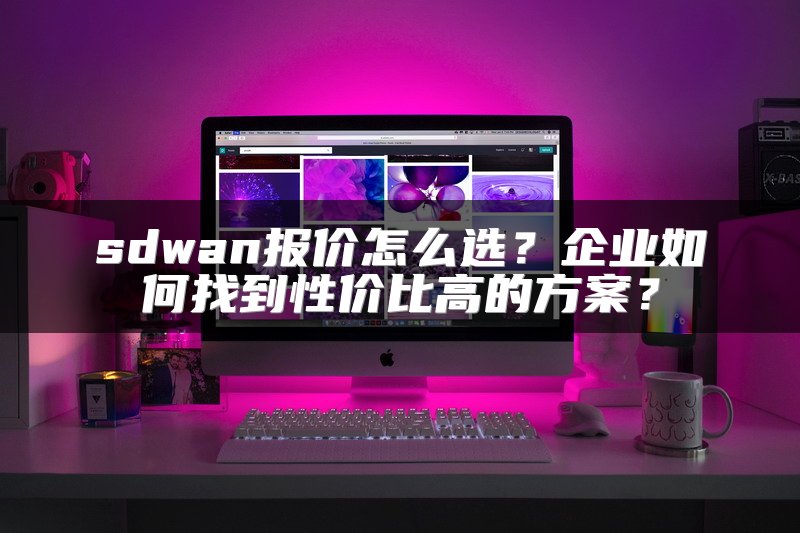 sdwan报价怎么选？企业如何找到性价比高的方案？