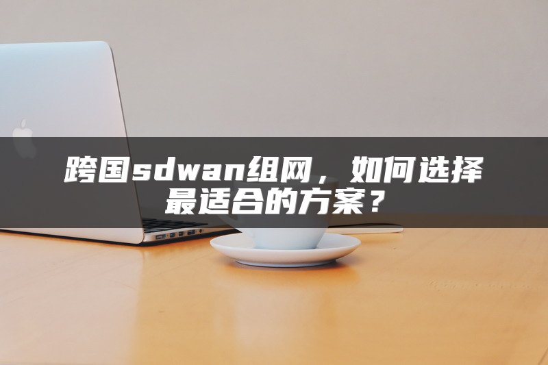 跨国sdwan组网，如何选择最适合的方案？