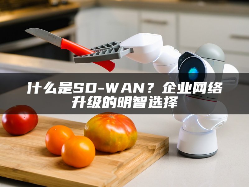 什么是SD-WAN？企业网络升级的明智选择