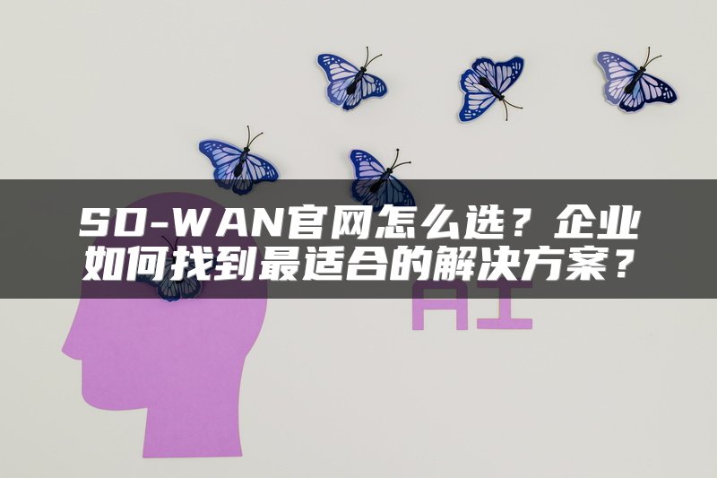 SD-WAN官网怎么选？企业如何找到最适合的解决方案？