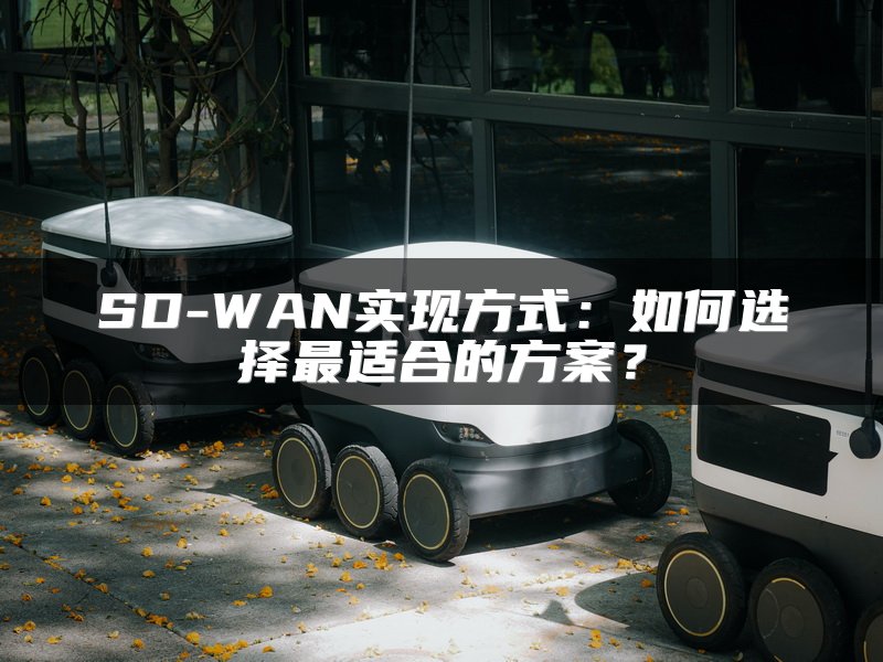 SD-WAN实现方式：如何选择最适合的方案？