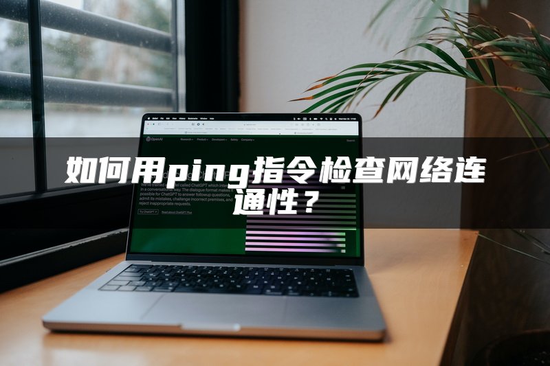 如何用ping指令检查网络连通性？