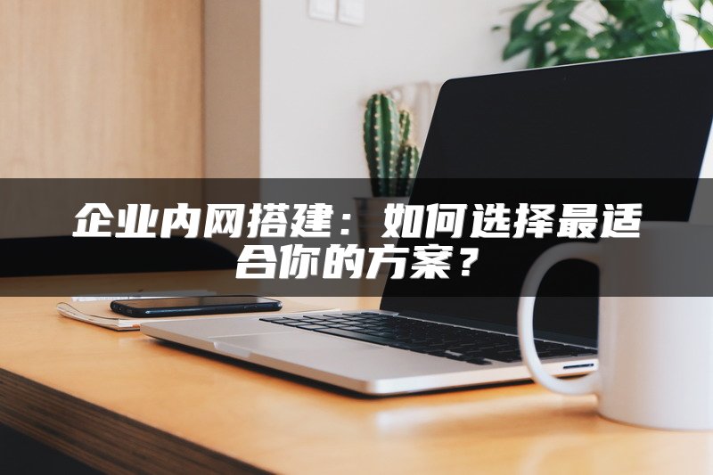 企业内网搭建：如何选择最适合你的方案？