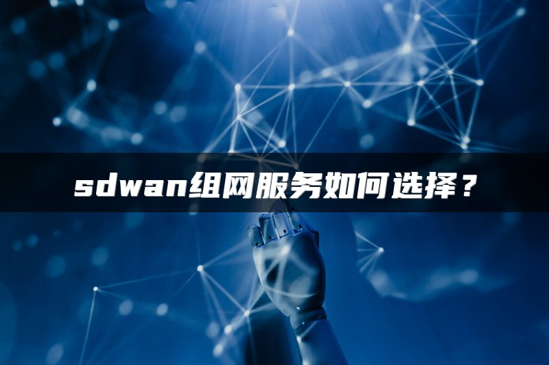 sdwan组网服务如何选择？
