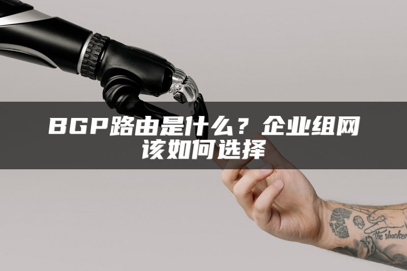 BGP路由是什么？企业组网该如何选择