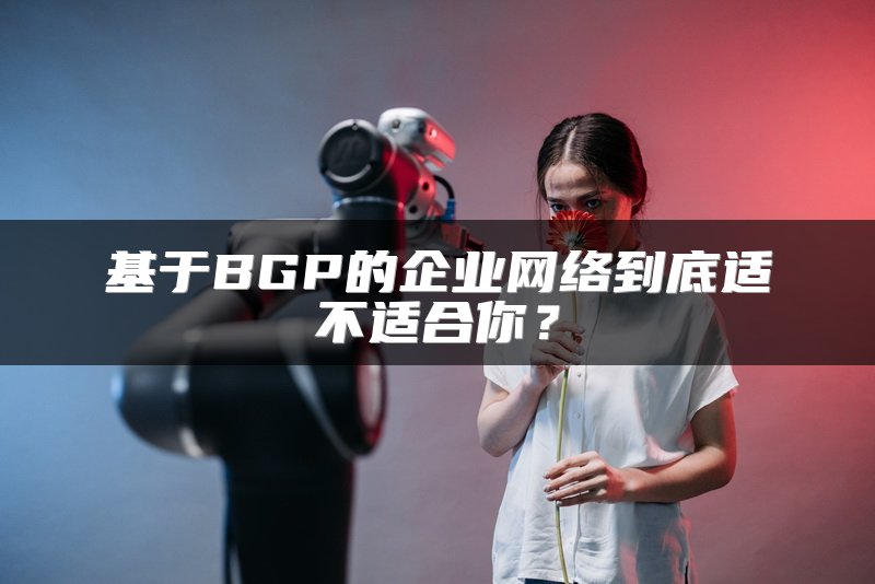 基于BGP的企业网络到底适不适合你？