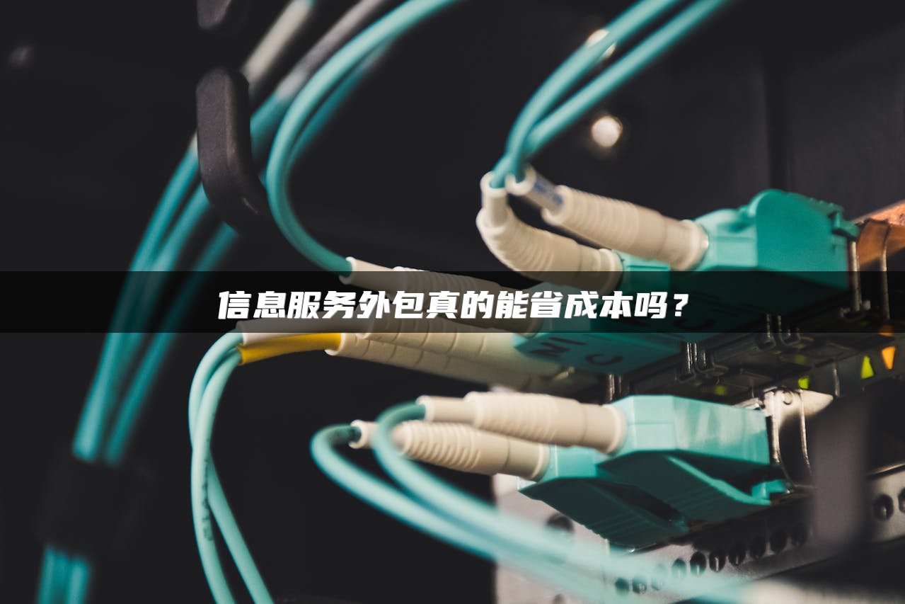 信息服务外包真的能省成本吗？