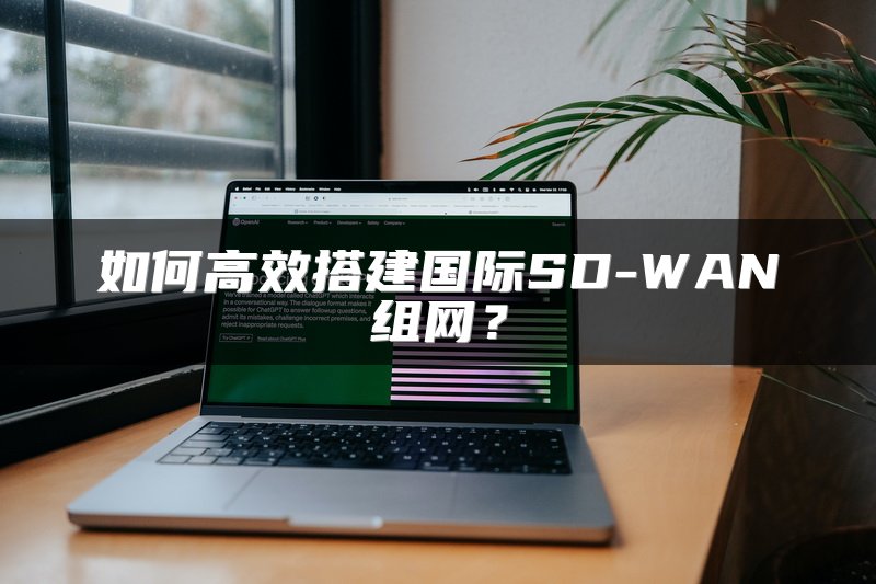 如何高效搭建国际SD-WAN组网？
