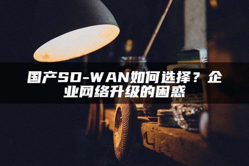 国产SD-WAN如何选择？企业网络升级的困惑