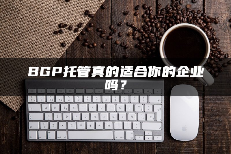 BGP托管真的适合你的企业吗？