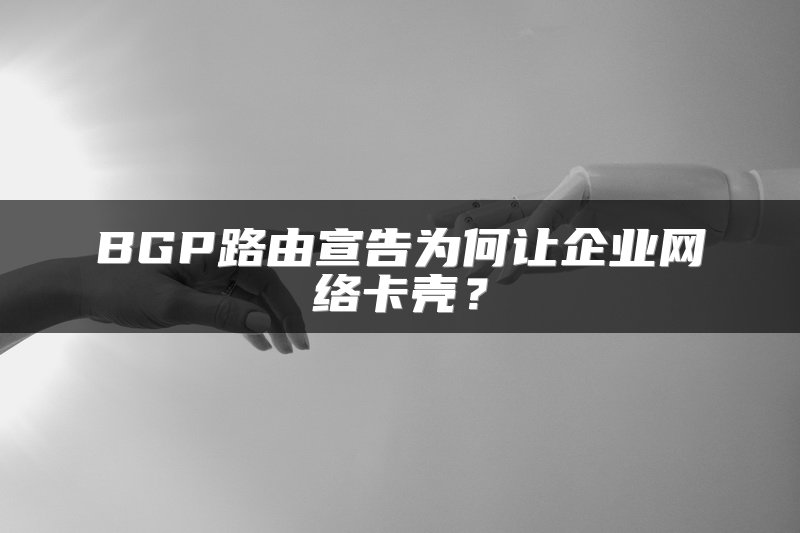 BGP路由宣告为何让企业网络卡壳？