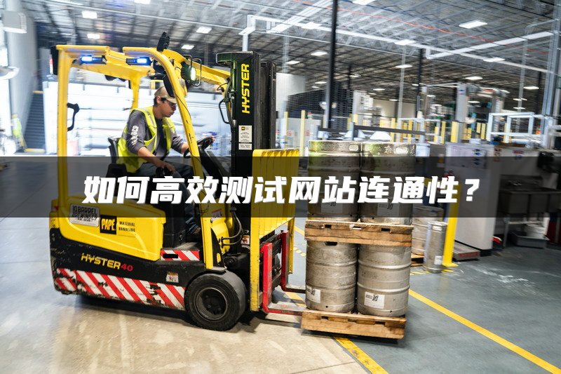 如何高效测试网站连通性？
