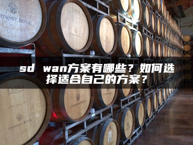 sd wan方案有哪些？如何选择适合自己的方案？