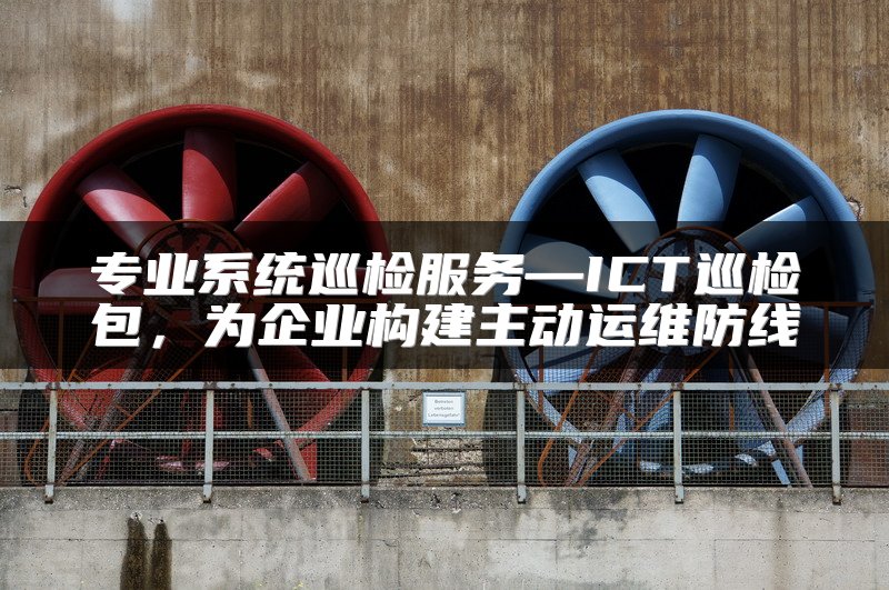 专业系统巡检服务—ICT巡检包，为企业构建主动运维防线
