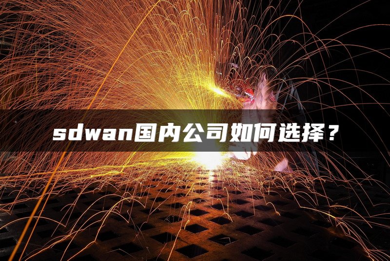 sdwan国内公司如何选择？
