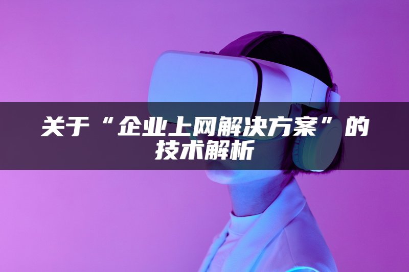 关于“企业上网解决方案”的技术解析