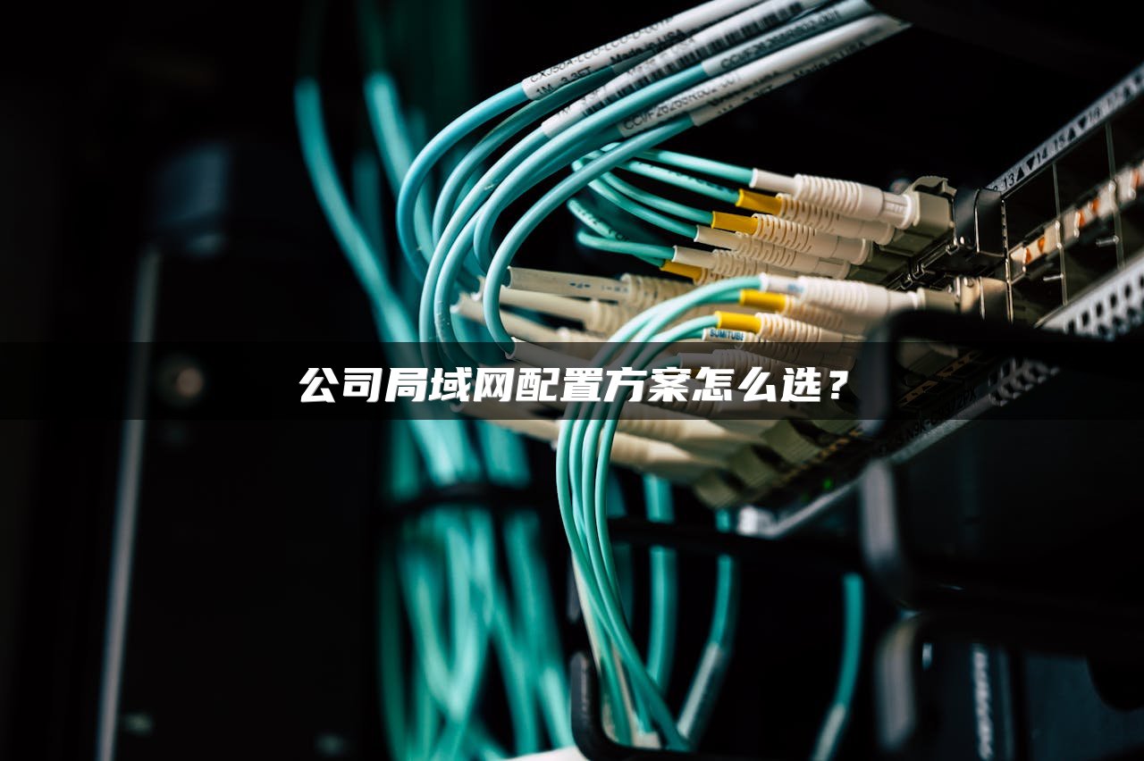 公司局域网配置方案怎么选？