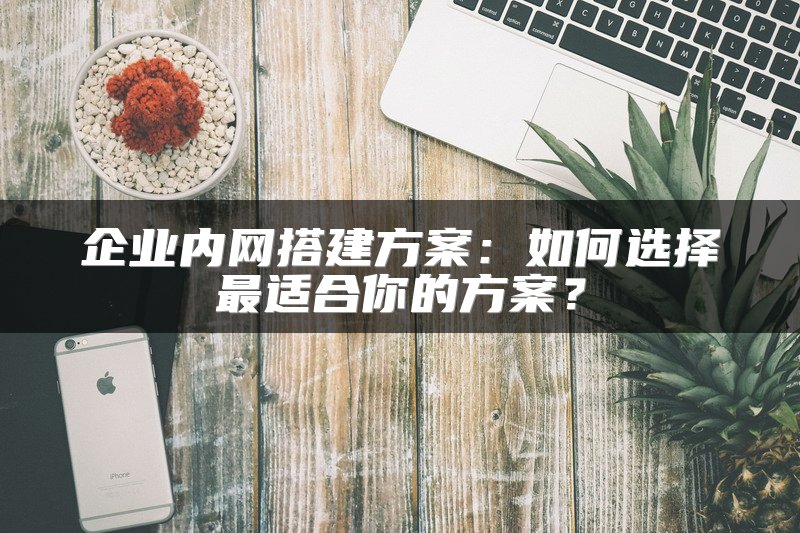 企业内网搭建方案：如何选择最适合你的方案？