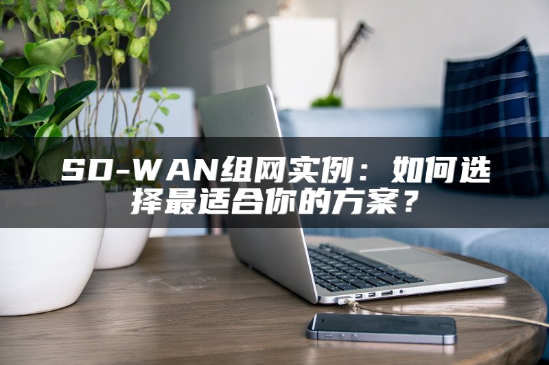 SD-WAN组网实例：如何选择最适合你的方案？