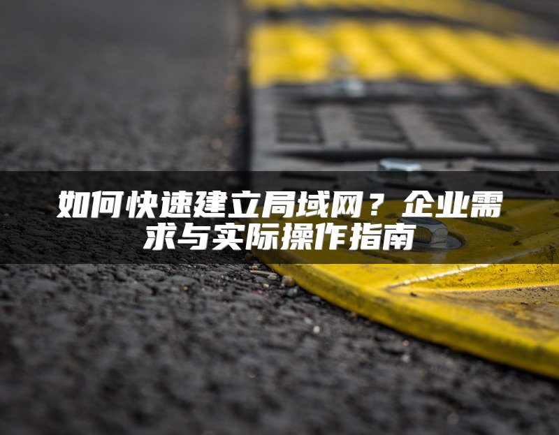 如何快速建立局域网？企业需求与实际操作指南