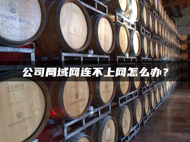 公司局域网连不上网怎么办？