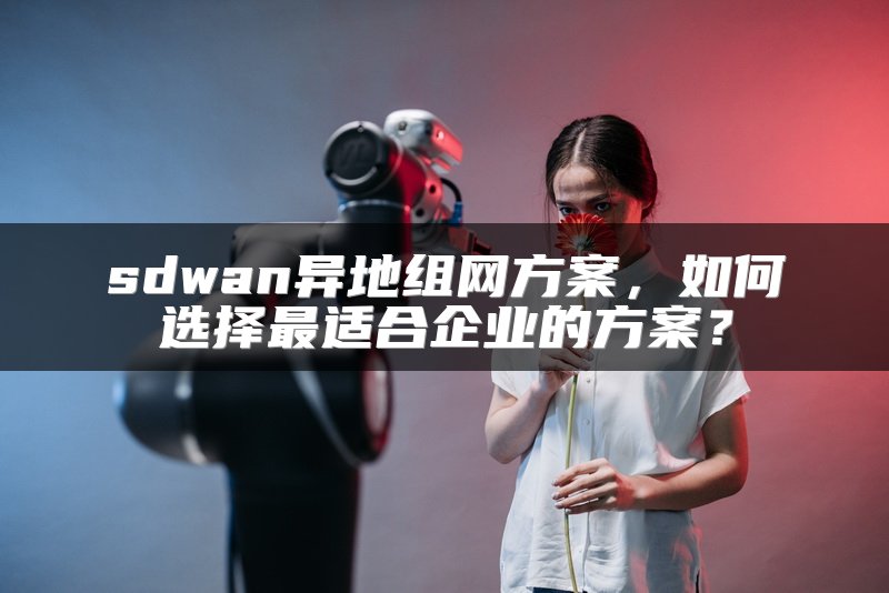 sdwan异地组网方案，如何选择最适合企业的方案？