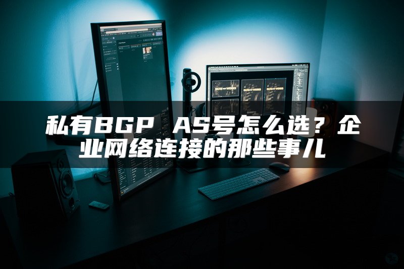 私有BGP AS号怎么选？企业网络连接的那些事儿